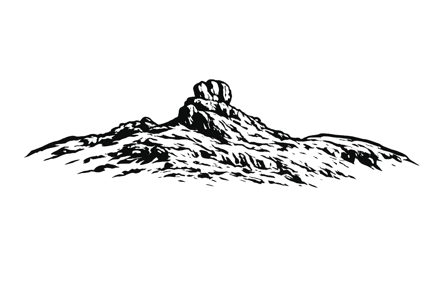 loader image